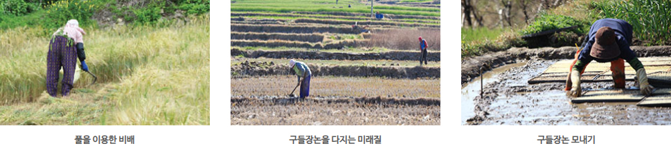 정교한 구들장논 경운기술